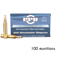 Munitions de chasse Winchester Extreme Point 300 Win Mag 180