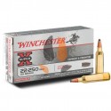 Balles Winchester 22-250 Rem Jacketed Soft Point 55 Grs
