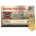 Munitions Winchester 243 Win Power Point 100 Grs