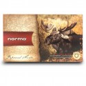 Balles Norma Oryx 9.3x74R 285 gr
