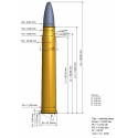Munitions SOLOGNE 8X75RS NOSLER PARTITION 200GR